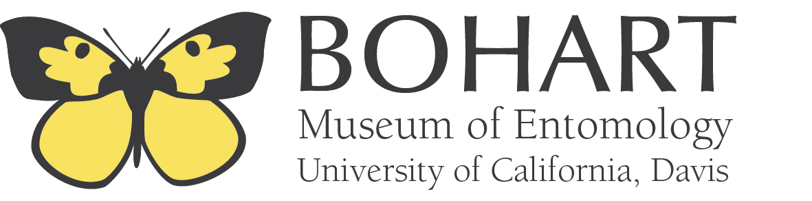 Bohart Museum of Entomology | Understanding, documenting & communicating terrestrial arthropod diversity