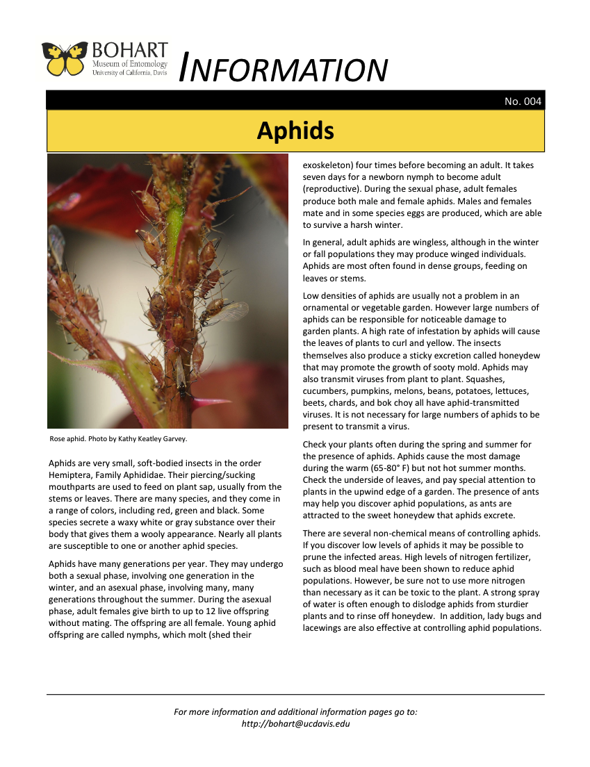 Aphid fact sheet created by the Bohart Museum of Entomology