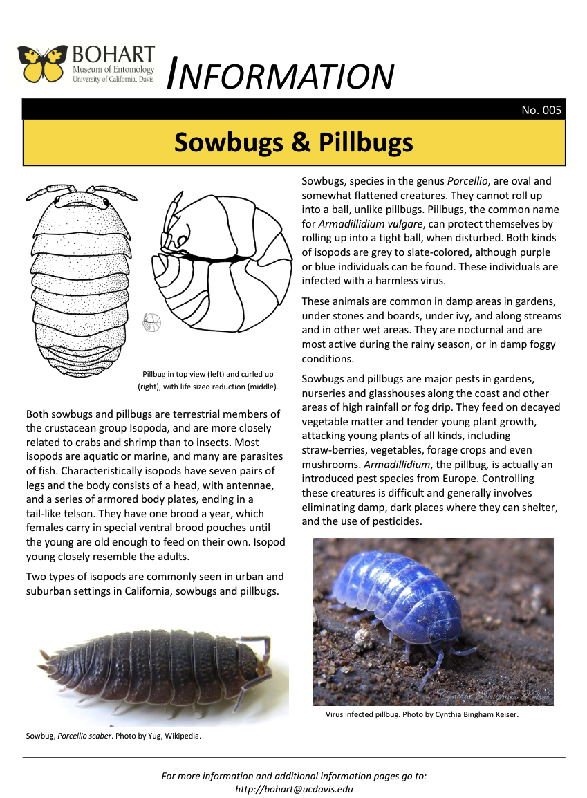 Sowbug fact sheet created by the Bohart Museum of Entomology