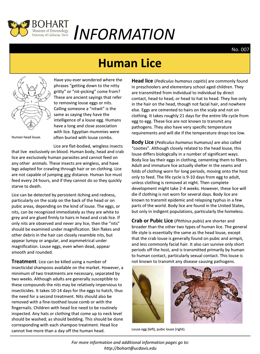 Lice fact sheet created by the Bohart Museum of Entomology