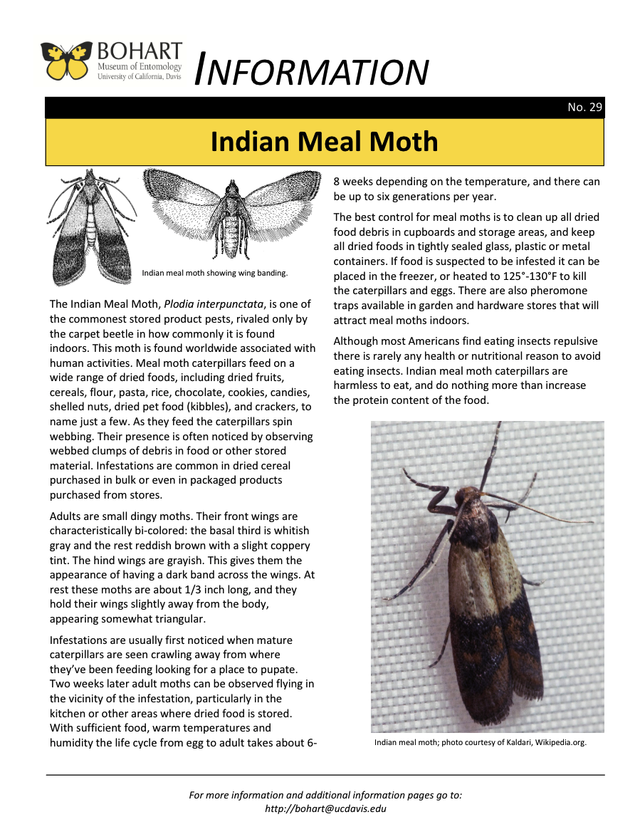 Indian Meal Moth fact sheet created by the Bohart Museum of Entomology