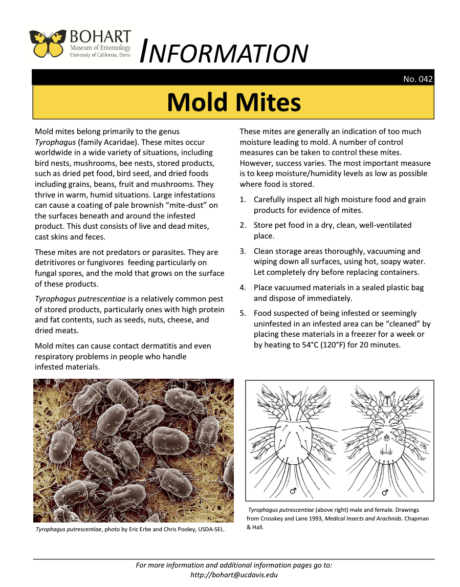 Mold mite fact sheet created by the Bohart Museum of Entomology