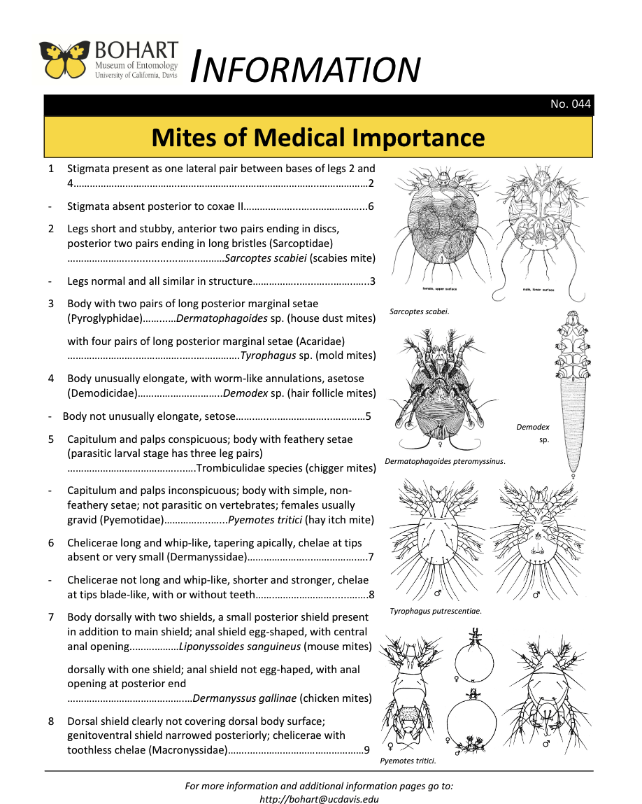 Medically important mites fact sheet created by the Bohart Museum of Entomology