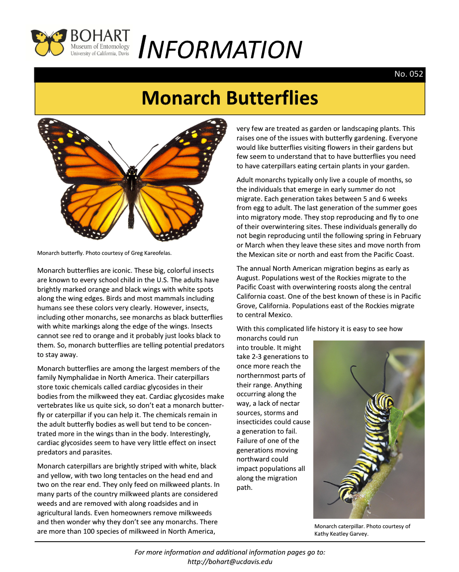 Monarch butterfly fact sheet created by the Bohart Museum of Entomology