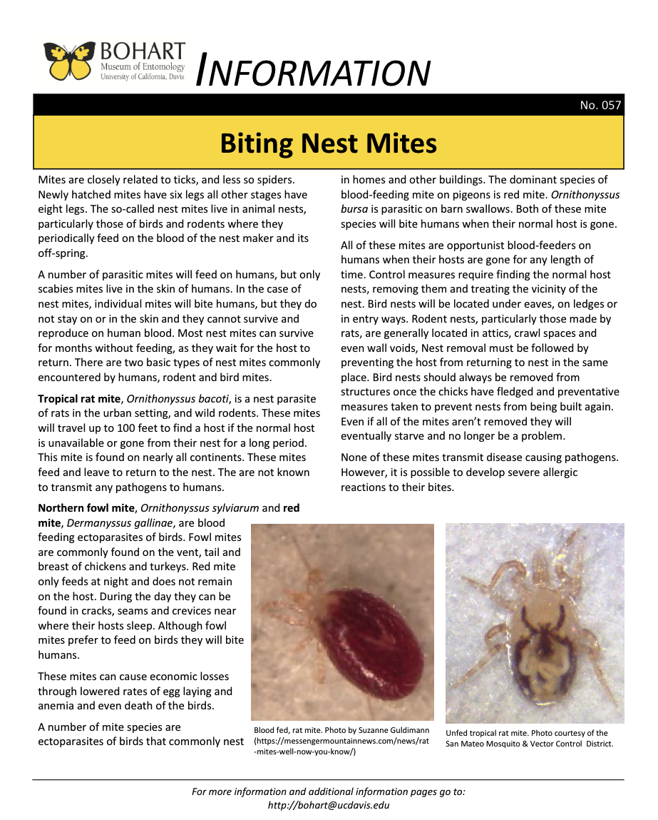 Biting Nest Mite fact sheet created by the Bohart Museum of Entomology