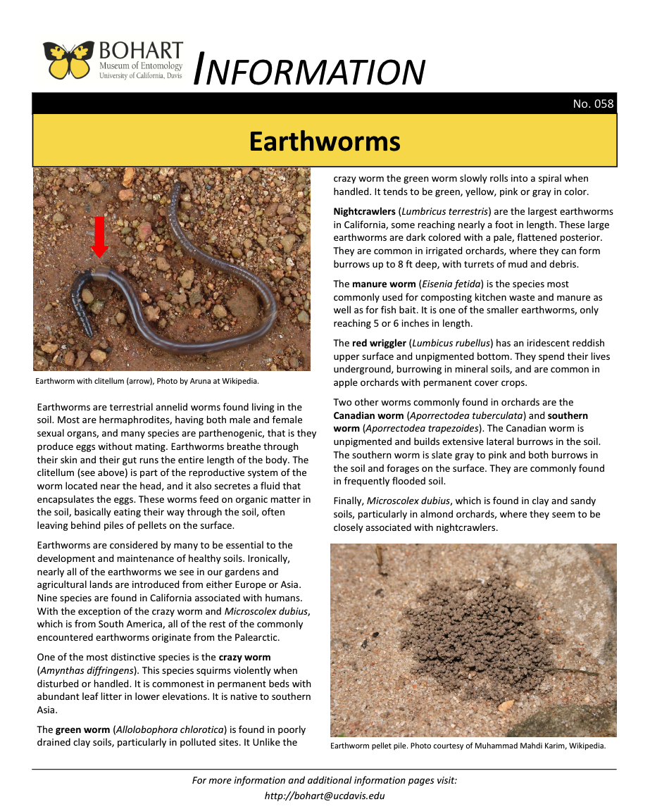 Earthworm fact sheet created by the Bohart Museum of Entomology