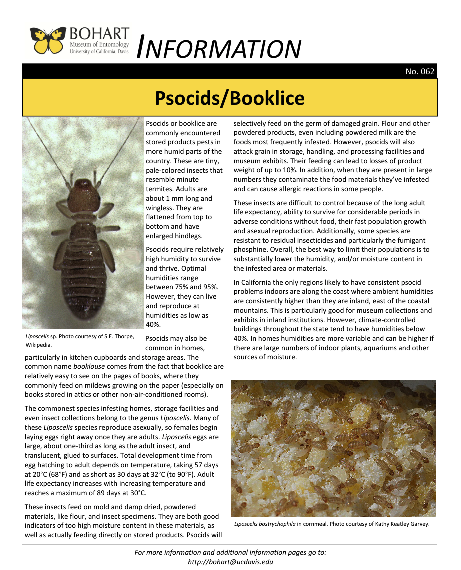 Booklice fact sheet created by the Bohart Museum of Entomology