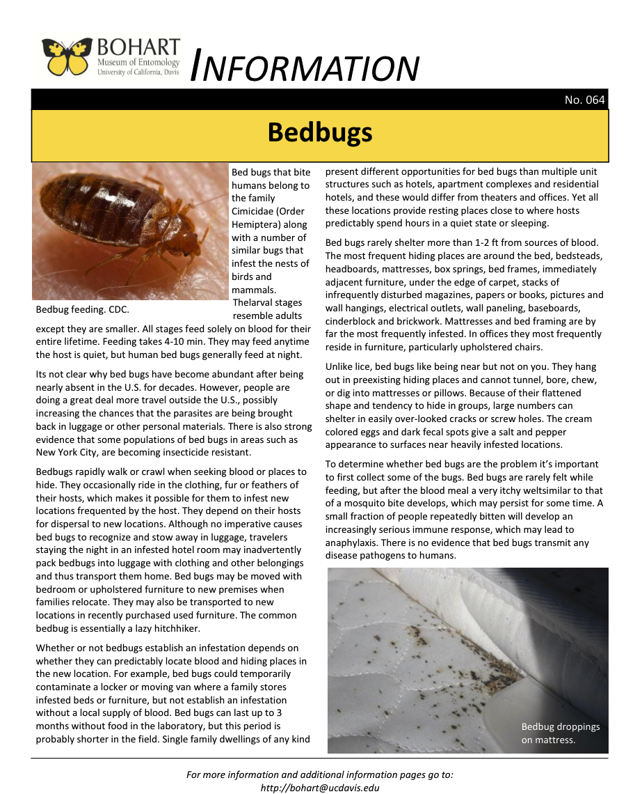 Bedbug fact sheet created by the Bohart Museum of Entomology