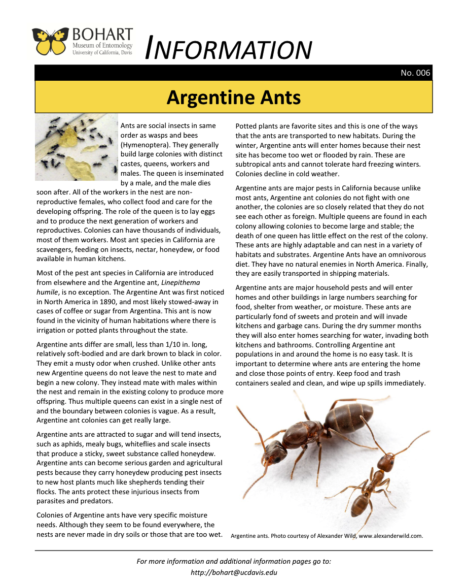 Argentine Ant fact sheet created by the Bohart Museum of Entomology