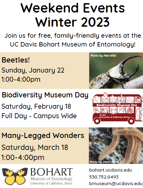 Image of the open house flier with dates and times