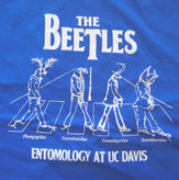 Beetles Shirt