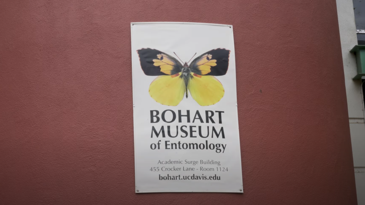 YouTube video about the Bohart Museum
