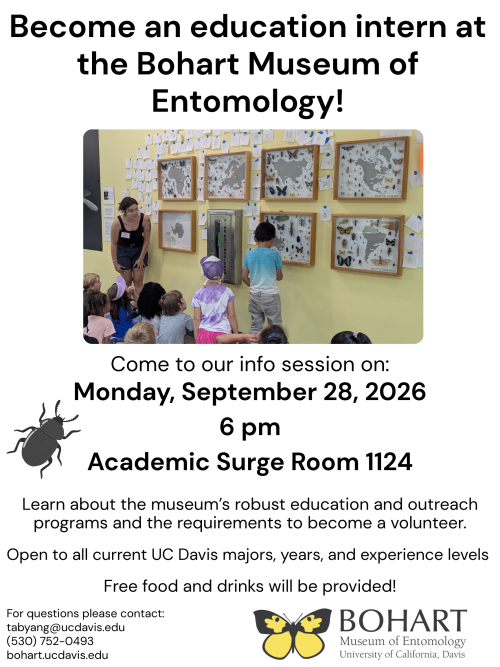 Image of a student leading a lesson in front of a group of children. Flier for a meeting about museum internships in education and outreach.. 