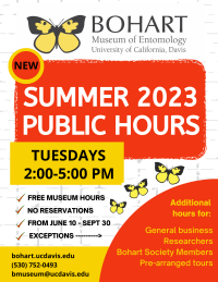 2023 Summer hours at the Bohart Museum of Entomology on Tuesdays from 2:00-5:00 pm 