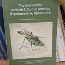 "The Ammophila of North & Central America (Hymenoptera, Sphecidae)" by Arnold S. Menke