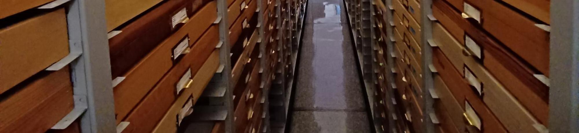 Shelves